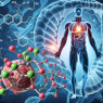 L'acétate de trenbolone et l'utilisation d'inhibiteurs de l'aromatase