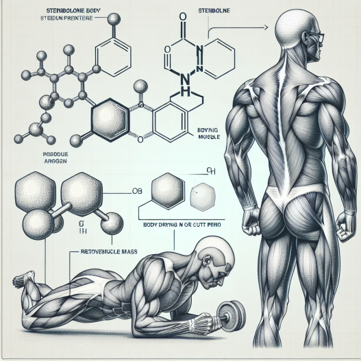 La Stenbolone et la préservation de la masse musculaire pendant Séchage